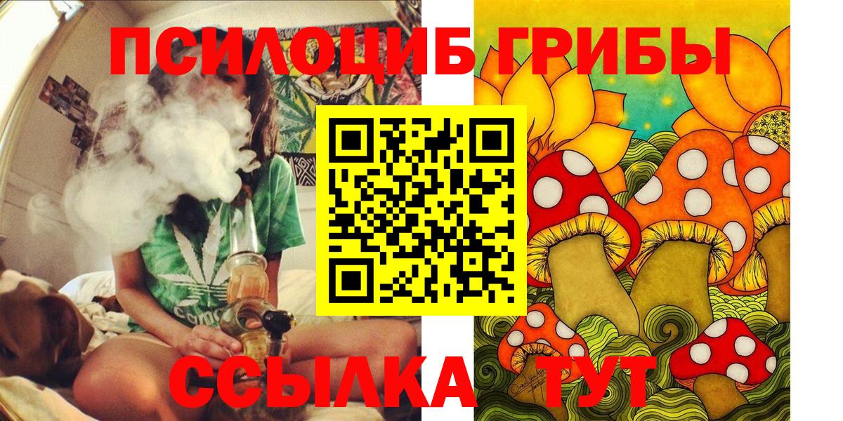 Галлюциногенные грибы Psilocybe  Вход с VPN  Дубна 