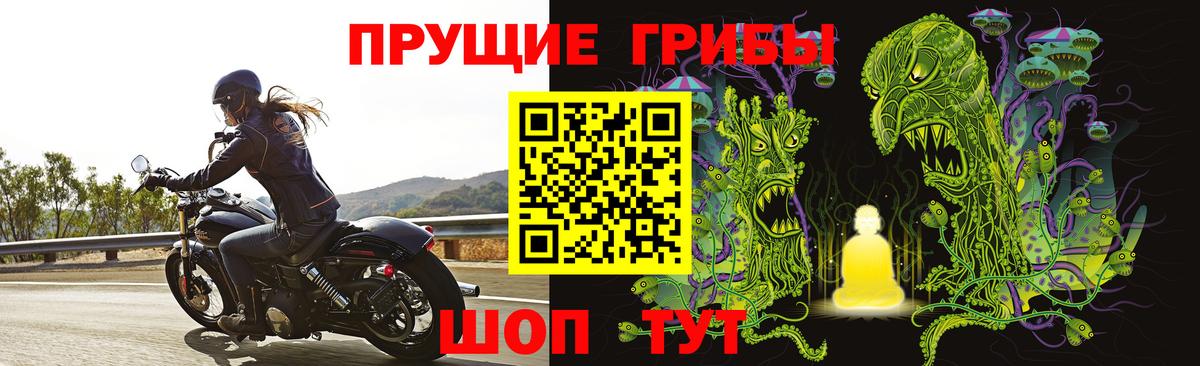 Галлюциногенные грибы Дубна